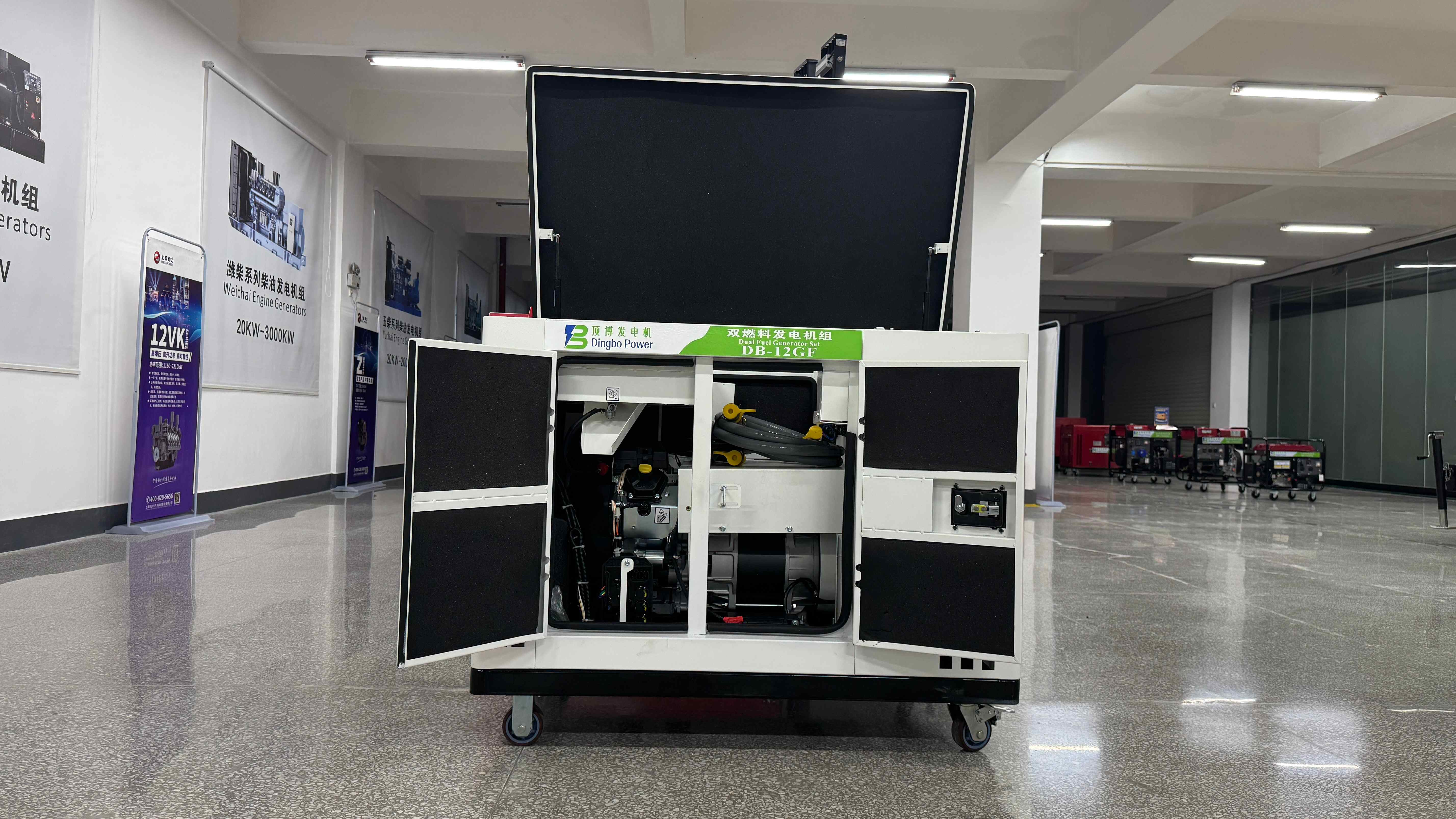 Dual Fuel Generator Direct Sales Manufacturer: Factory Direct Quality and Savings